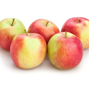 Nieuwe oogst elstar appels   2 kilo