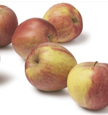 Goudreinet appels 2 kilo